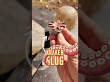 Load and play video in Gallery viewer, 12 Gauge Full Metal Kraken
